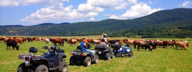  Renta de cuatrimotos 